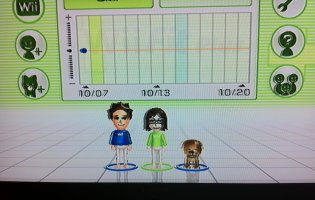 Wii fit: Training für die ganze Familie by Brad Owens