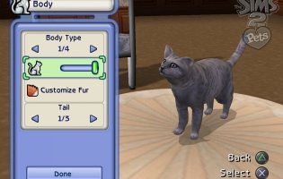 Titelbild "Sims2 Add-On Haustiere"