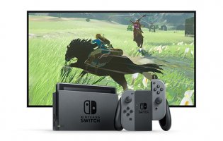 Nintendo Switch Zelda Screenshot