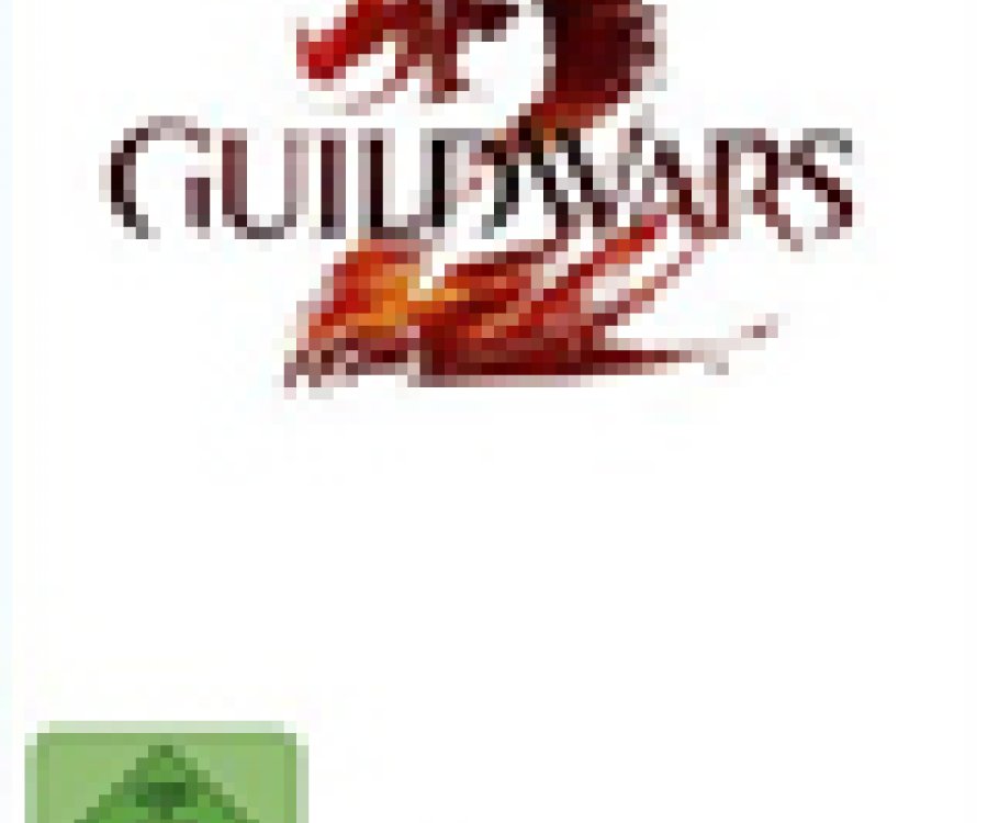 Guild Wars 2 Packshot