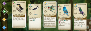 In einer Reihe sind fünf verschiedene Vögel zu sehen: Schnäpperwaldsänger, Rubinkolibri und andere.